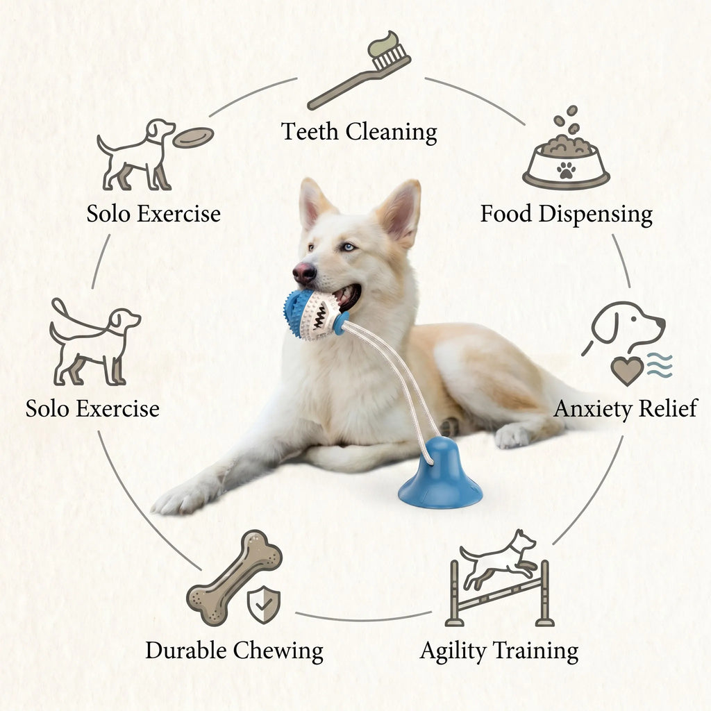 6-Benefit Health Chart