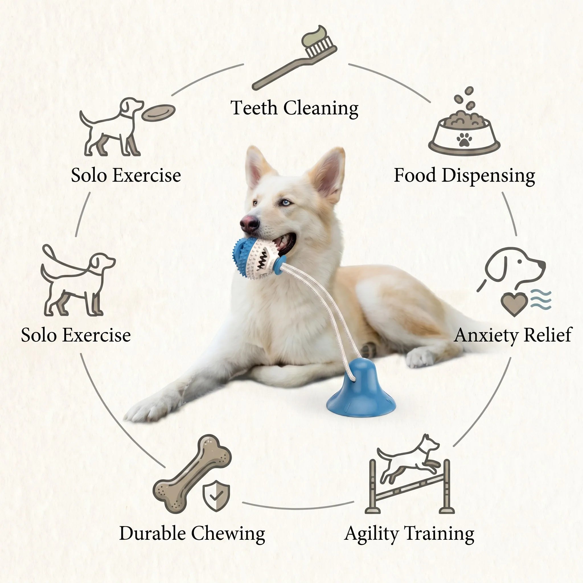 6-Benefit Health Chart